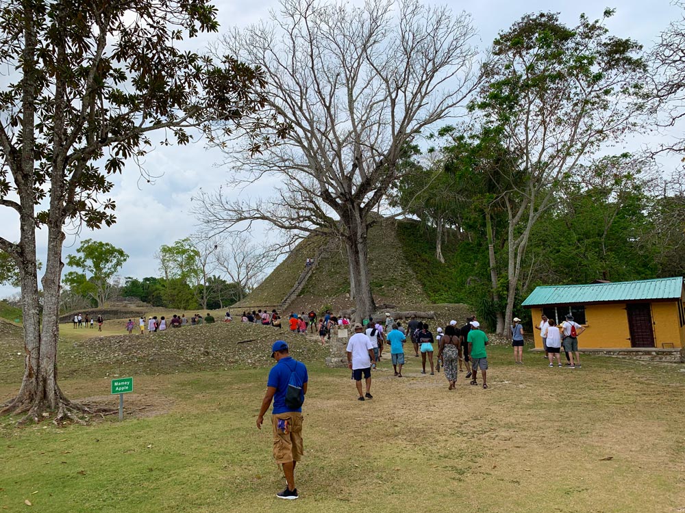 Altun Ha Tour in Belize